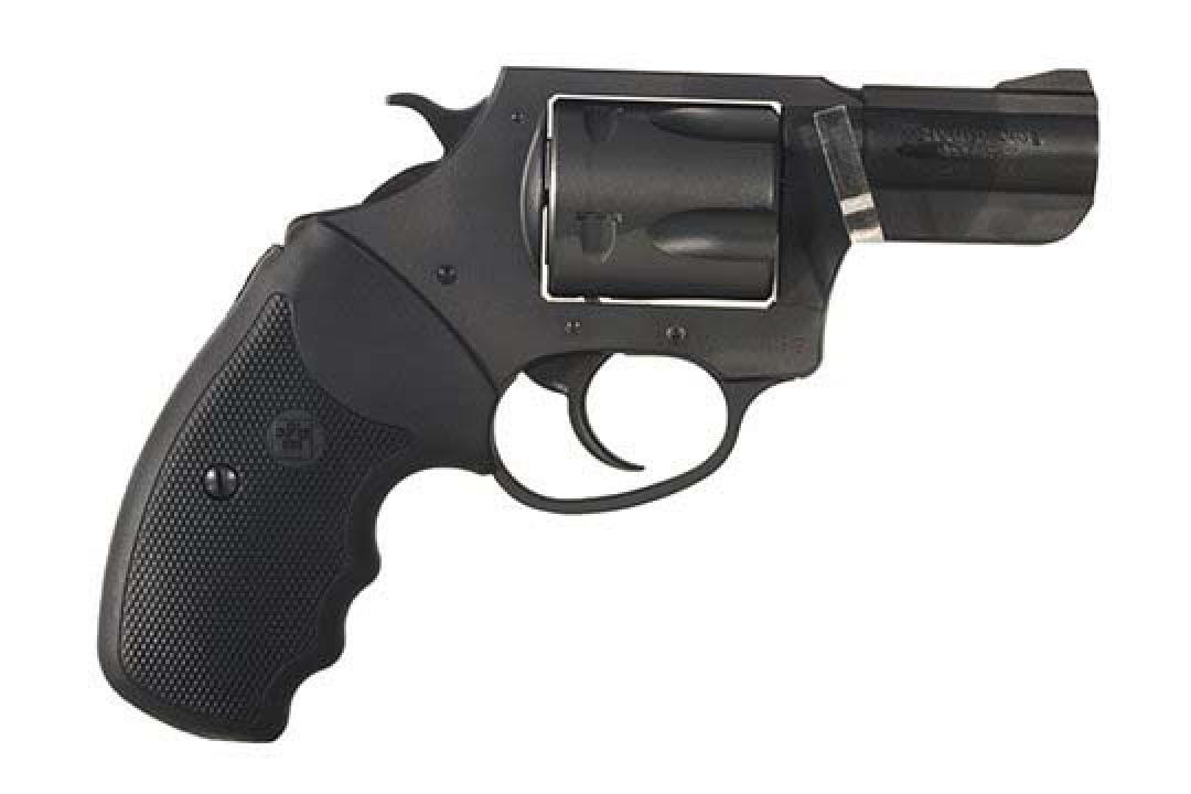 charter-arms-pitbull-40-s-w-gungenius