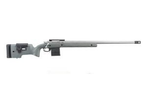 Ruger Hawkeye Long-Range Target - GunGenius